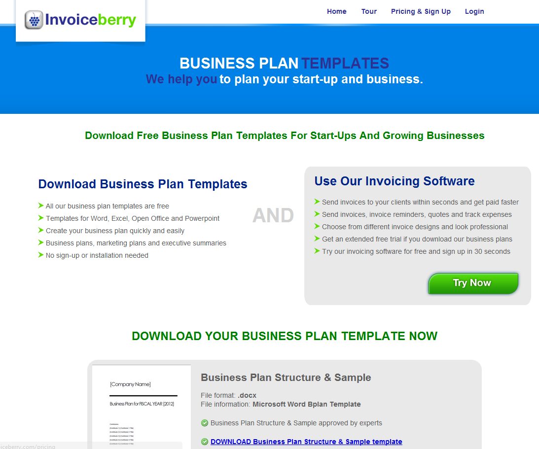 free web design business plan
